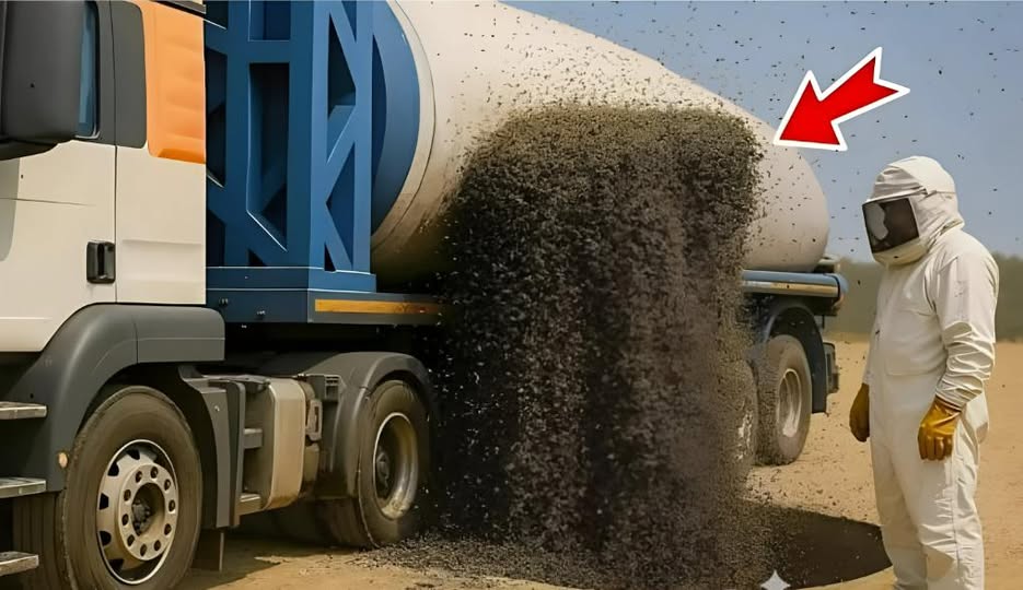 Naukowcy wypuścili miliony pszczół na pustynię — a po miesiącu wydarzyło się coś, czego nikt się nie spodziewał.